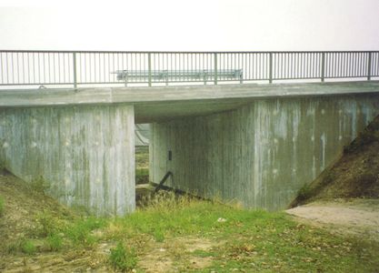 Kalkschleier zieren nicht eingeschlmmte neue Schalung. Sie entstehen aus karbonatisiertem 

Zementmehl das durch den Holzzucker nicht abbinden konnte. Der Regen oder Nebel fhrt zu diesem 

Kontras. Neutrale Schalhaut schafft geschlossenen Betonstein und zeigt nur selten Kalkschleier. Wir 

machen es besser.